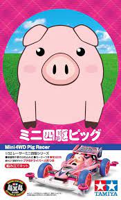 18089 Jr Pig Racer